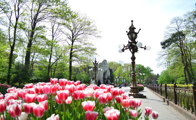 Efteling tulip walk